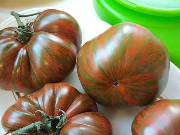 Сорта томатов, которые понравятся на вкус