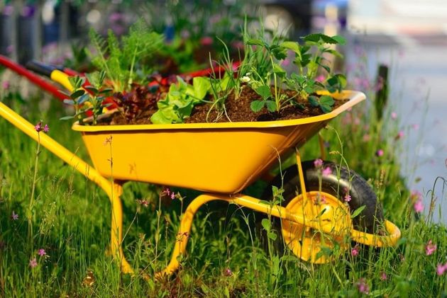 5 современных инструментов для огорода, о покупке которых вы не пожалеете