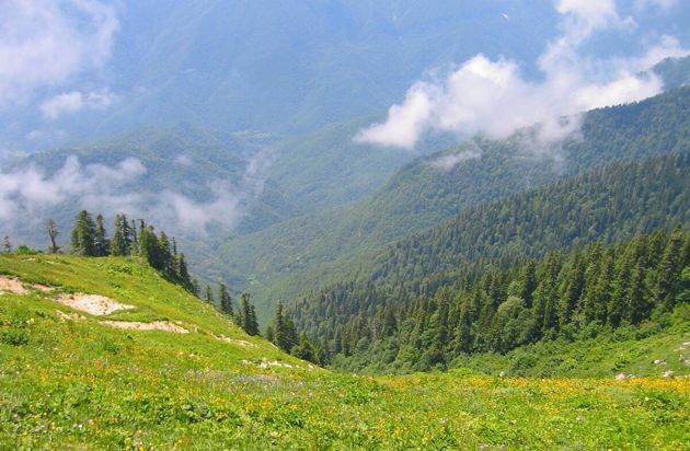 Горы и леса Абхазии