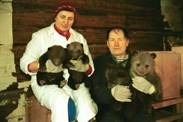 История семьи Пажетновых: как биологи вырастили и выпустили в лес 246 медвежат