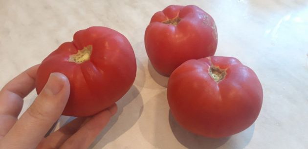 Поливать или не поливать томаты в августе. Важный момент, без которого можно потерять урожай