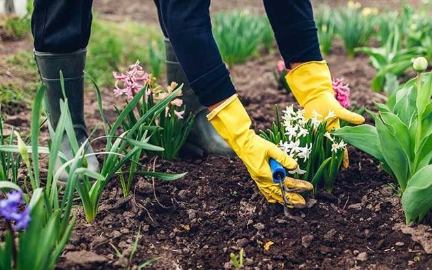 10 садовых инструментов, которые вам понадобятся для хороших урожаев