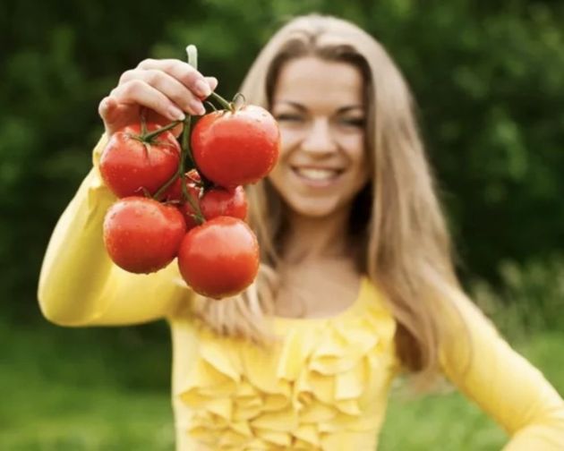 Что будет, если каждый день есть помидоры? Свойства томатов, о которых мало кто знает