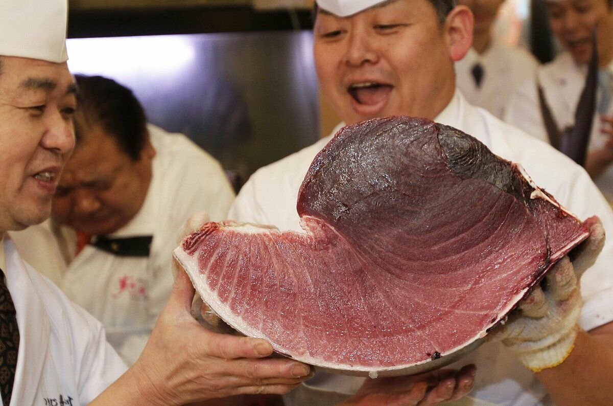 Мясо дорогих рыб. Гигантский тунец. Гигантский голубой тунец. Самый крупный тунец.
