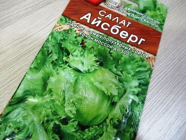 Подсказали, какой кочанный салат самый вкусный и теперь выращиваю его каждый год