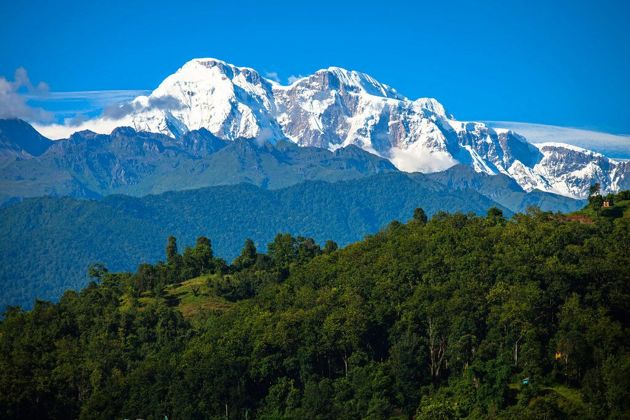 Гималаи – один из самых неизученных регионов планеты, и там регулярно обнаруживают новые виды растений и животных