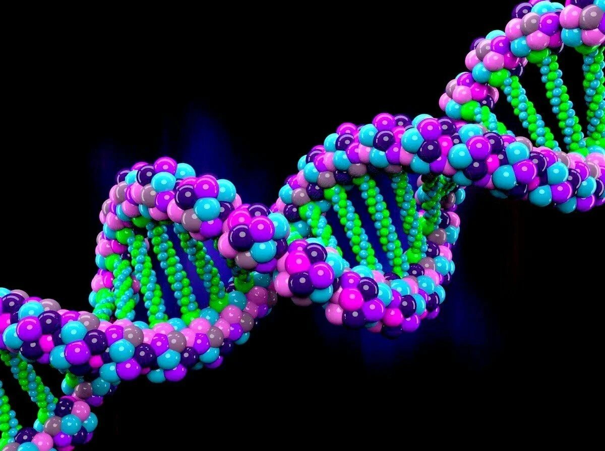 Ген биология 9. Молекула нуклеиновой кислоты. Дезоксирибонуклеиновая кислота ДНК. Молекул нуклеиновых кислот ДНК. Молекула ДНК гены.