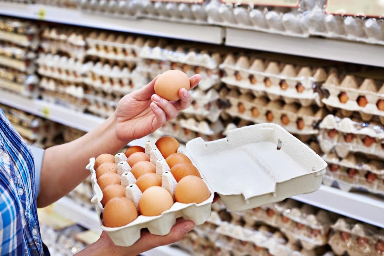 2 самых эффективных способа определения свежести куриных яиц | ДомЭксперт | Пульс Mail.ru