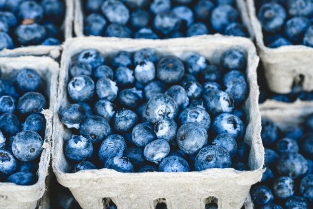 Зачем есть чернику: 4 полезных свойства от употребления этой темно-синей ягоды