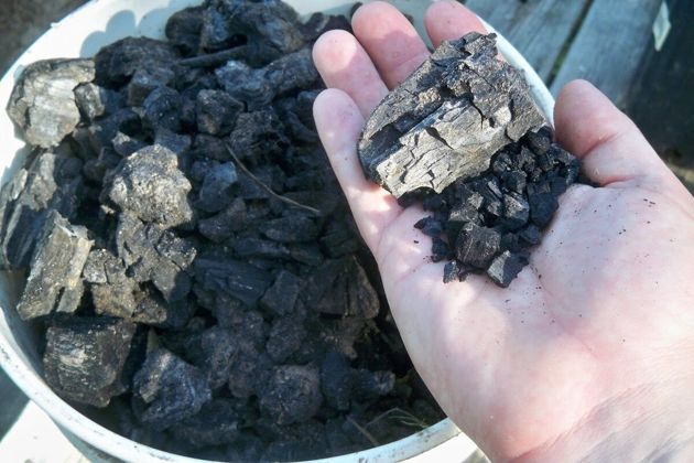 Зачем покупать уголь, когда можно сделать самому? Простой способ изготовления.