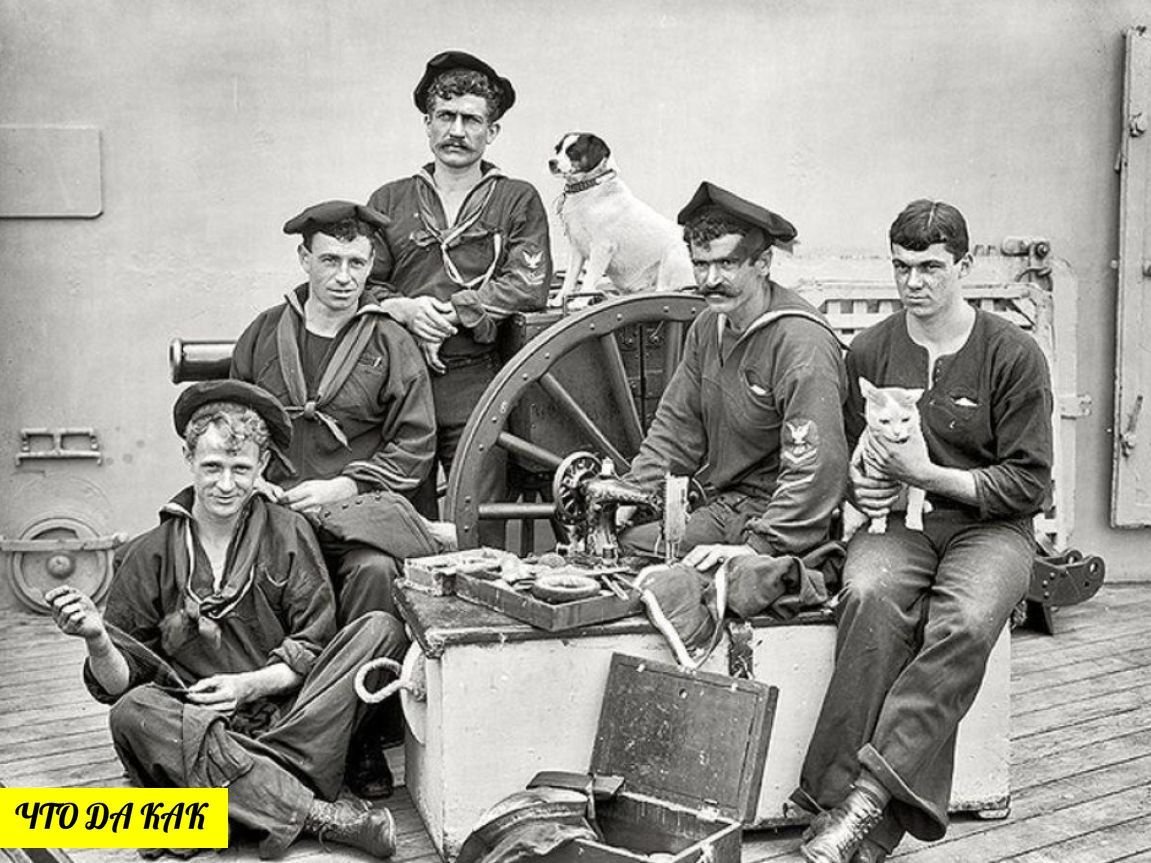 На корабле несколько кошек несколько матросов. Матросы 19 века США. Американские моряки 19 век. Французские моряки начала 20 века. Матросы на корабле.