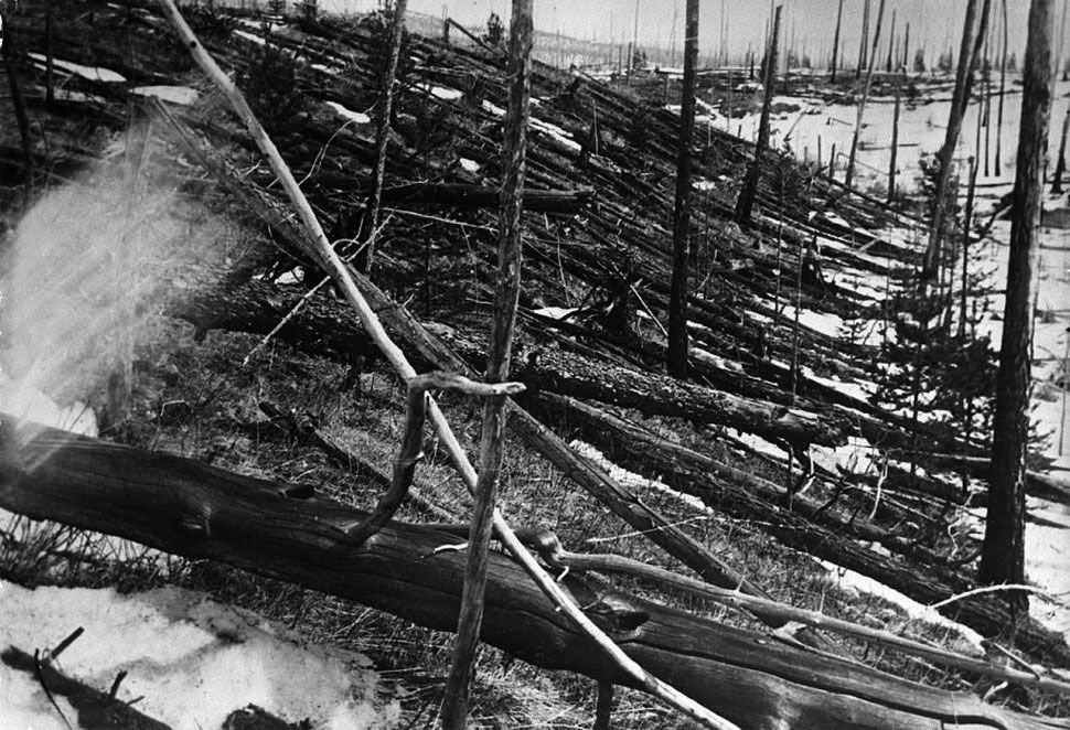 30 июня 1908. Поваленный лес Тунгусский метеорит. Тунгусский метеорит кратер. Тунгусский взрыв 1908. Тунгусский метеорит 30 июня 1908 года.