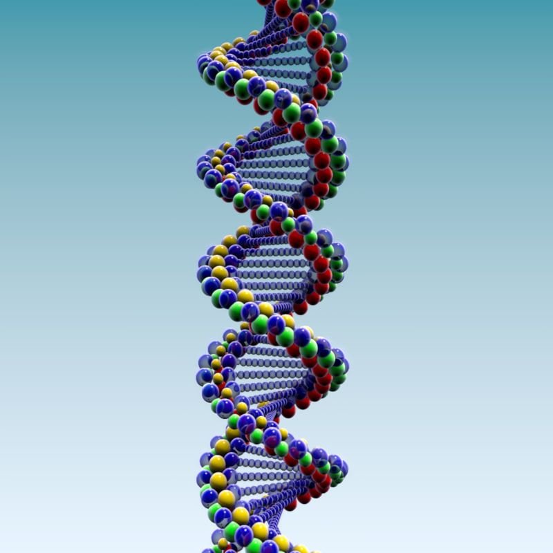 Открытые структуры днк. Двуспиральная модель ДНК. Двухцепочечная модель ДНК. Двойная спираль молекулы ДНК. Молекула ДНК логарифмическая спираль.