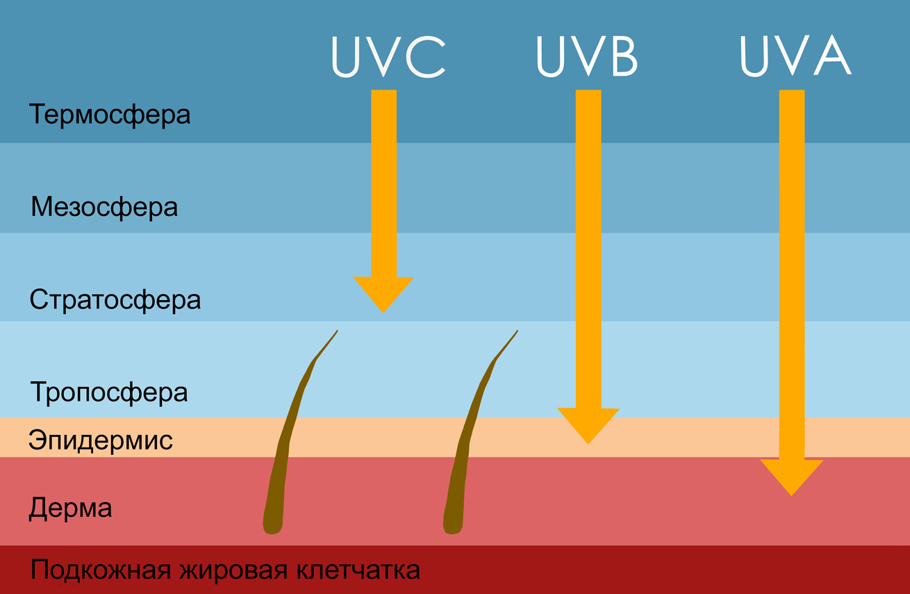 Какие типы ультрафиолетовых лучей влияют на кожу