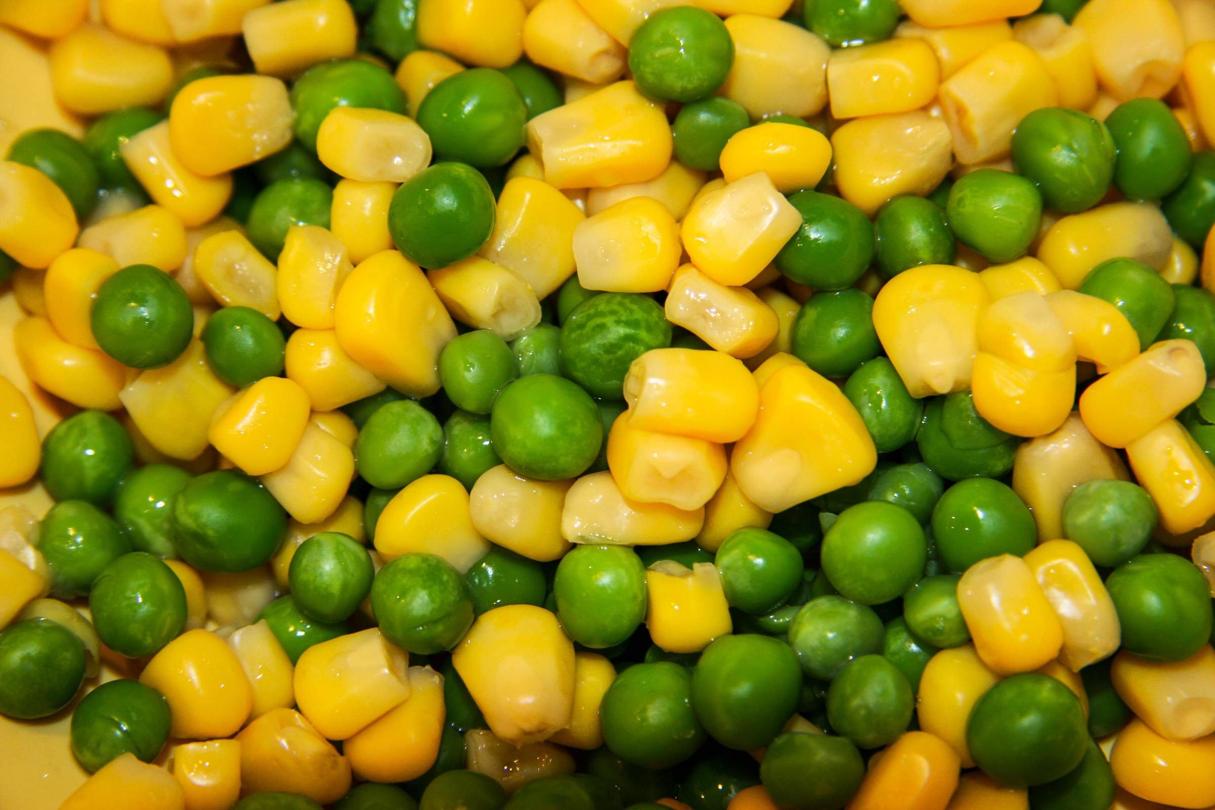 Кукуруза или горох. Горошек и кукуруза. Зеленый горошек и кукуруза. Горошек и кукуруза консервированная. Горох кукуруза фасоль.