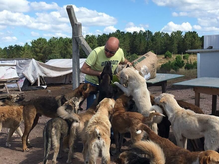 История о том, как один добрый мужчина организовал целый приют для бездомных животных на своей ферме