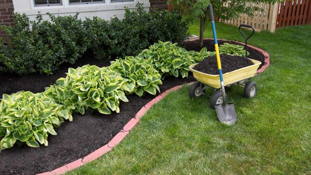 10 садовых инструментов, которые вам понадобятся для хороших урожаев