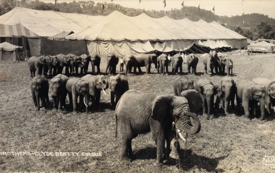 Centuries ago people. Вагоны с цирковыми слонами в Америке 19 века. Hagenbeck Wallace Circus Tragedy.