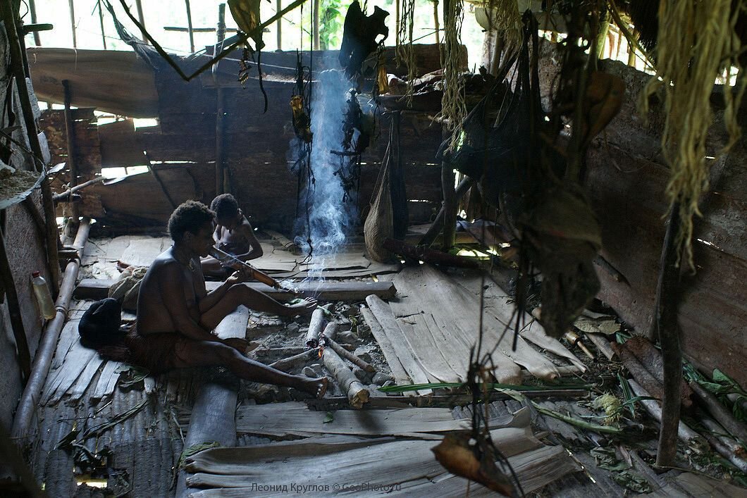 Люди живущие на деревьях. Новая Гвинея. Племя КОРОВАИ. Племя КОРОВАИ Папуа новая Гвинея. Индонезия — племя КОРОВАИ. Племя караваи новая Гвинея дома.