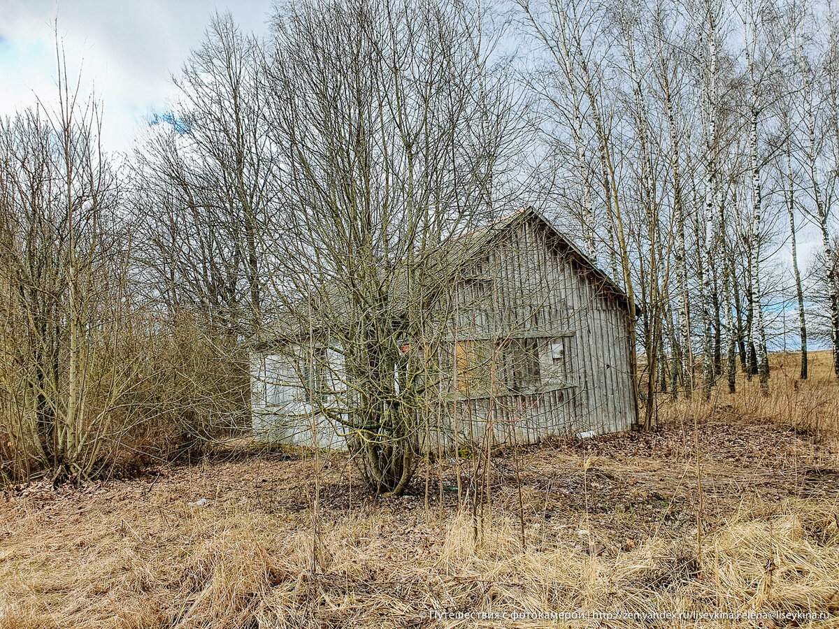 Когда я заметила этот небольшой серый заброшенный дом, он мне показался немного странным