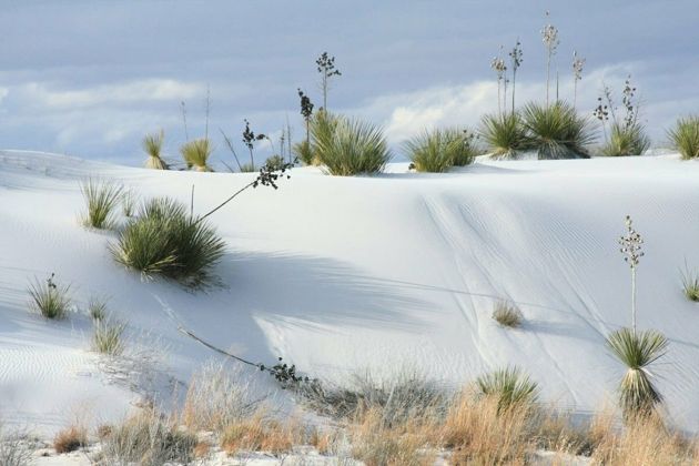 Чудеса природы: пустыня из белого песка