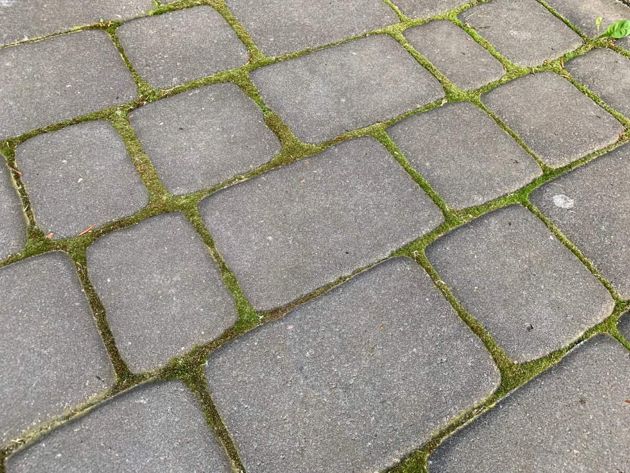 Чем может обернуться ошибка укладки тротуарной плитки на монолитную плиту