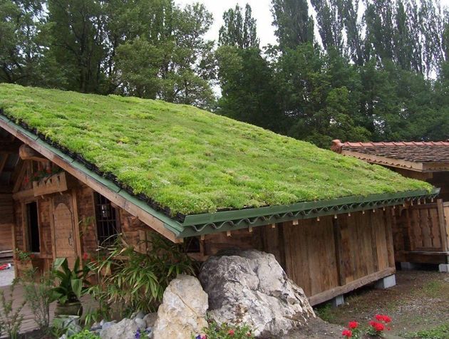 Живая крыша для частного дома. Бесплатный материал, идеальный вариант. Рассматриваем преимущества