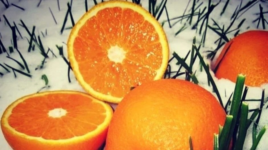 Мандарины на зиму. Мандарины новый год. Апельсины на снегу. Апельсины зимой. Новогодний апельсин.