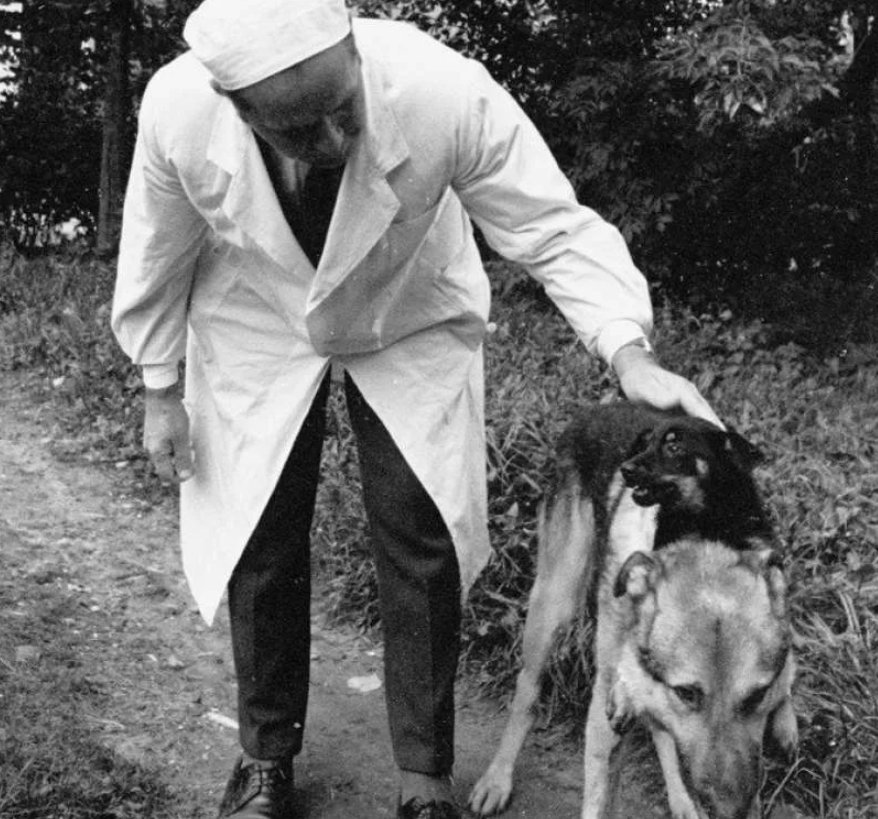 Павлов советский ученый. Демихов трансплантолог собаки.