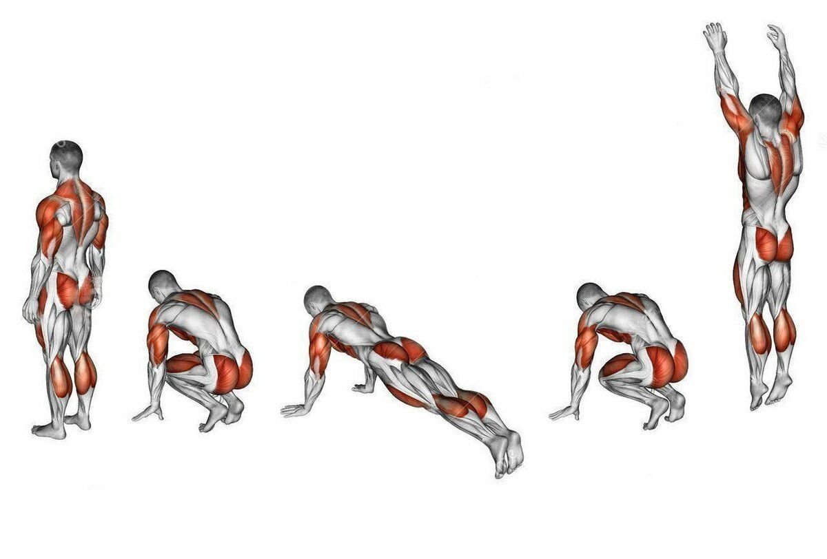 Развитие группы мышц. Бёрпи. Упражнение бёрпи бурпи. Берпи мышцы. Бурпи упражнение для мужчин техника выполнения.