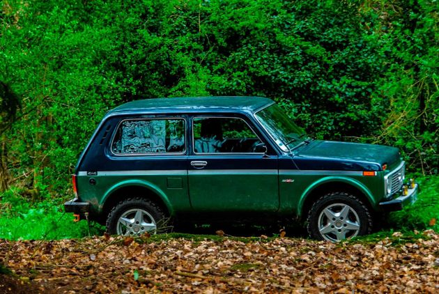 Зеленая нива фото Зеленая нива фото