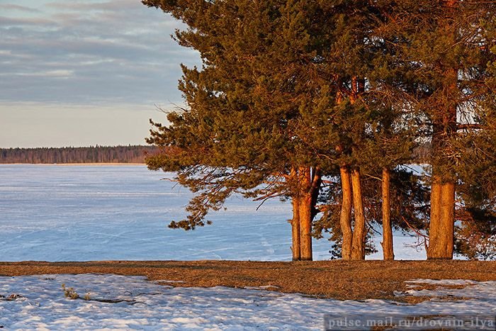 Среди густых таежных лесов Архангельской области есть уникальное место, где рядом находится 251 озеро, а узкая полоска земли разделяет поток рек: в Атлантический или Северный Ледовитый океан