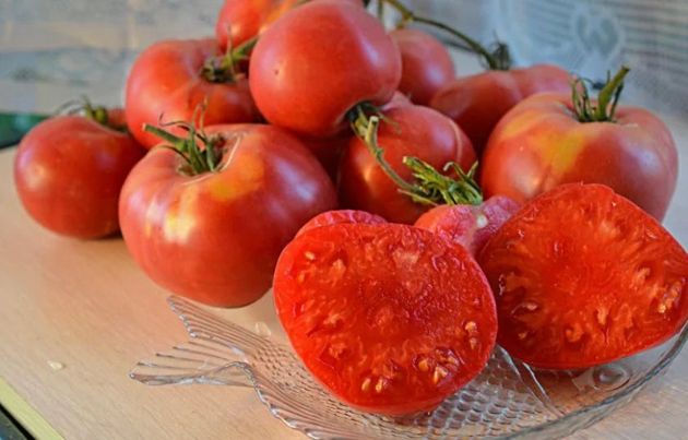 Как свёкла может помочь вырастить сладкие томаты в любом регионе