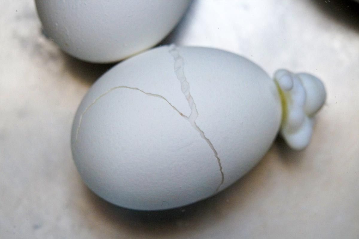 Яйцо трещина. Треснутое яйцо. Яйца потресканные. Яйцо с трещиной. Скорлупа яиц.