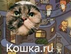 Кошка.ru