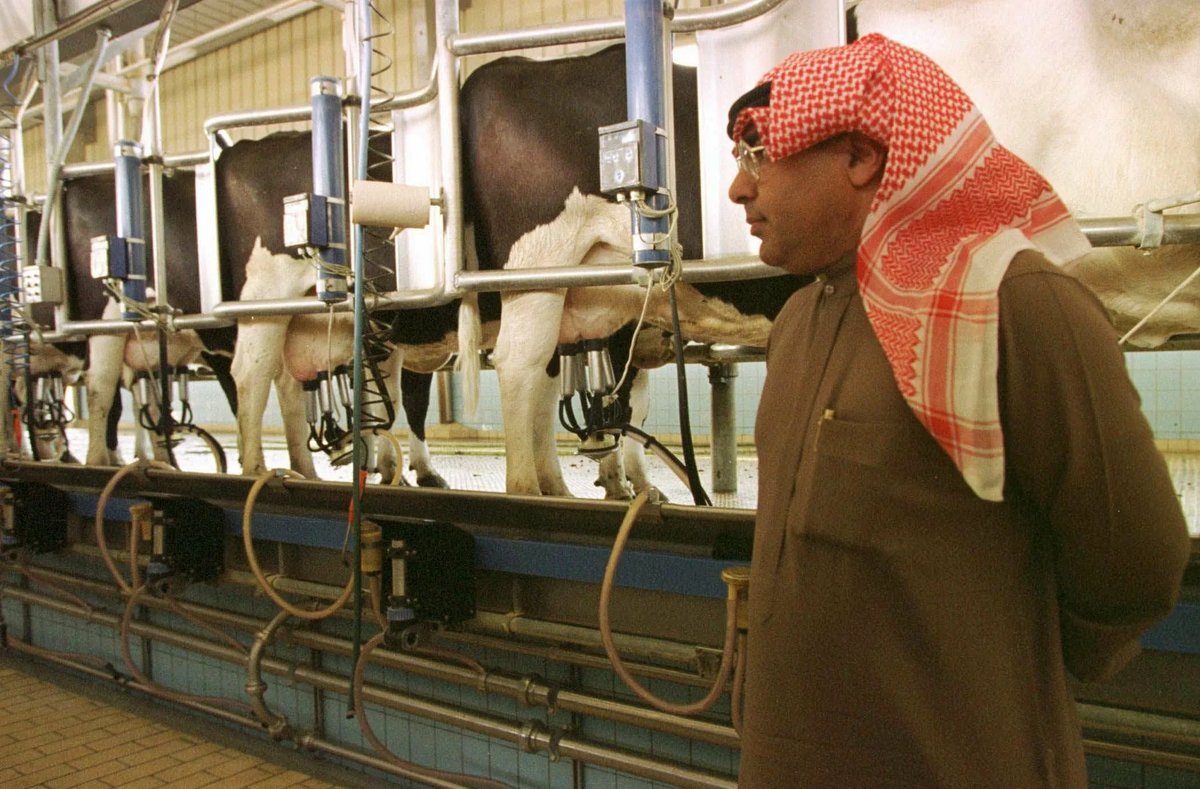 Саудовская аравия производство