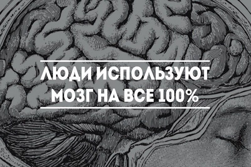 Используйте свой мозг для изменений. 10% Мозга. Мозг человека используется на процентов. Мозг человека задействован на процентов. Мозг используется на 10 процентов миф.