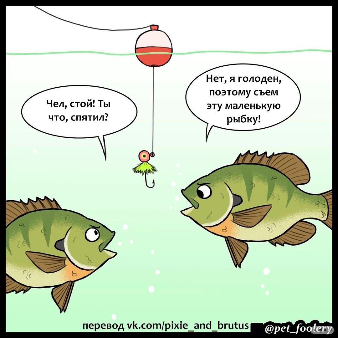 Раз два три рыбку. Комиксы про рыб. Комикс про рыбку. Смешные комиксы про рыб. Смешные комиксы с рыбками.