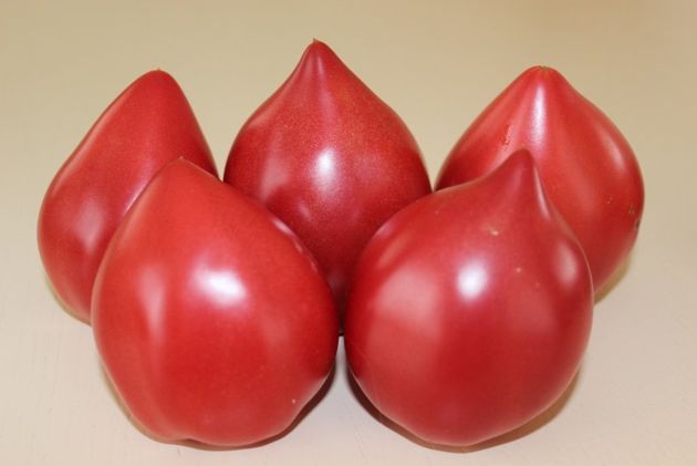 Обзор ранних вкусных сочных сахаристых томатов