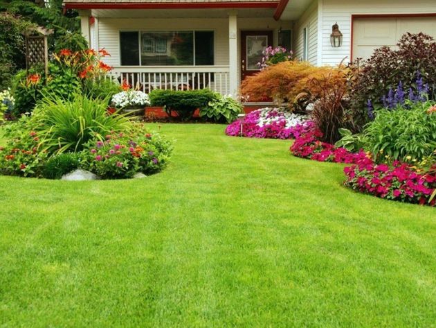5 эффективных советов по освежению своего газона на дачном участке