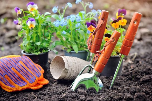 Какие основные работы нужно успеть сделать в саду и огороде в мае