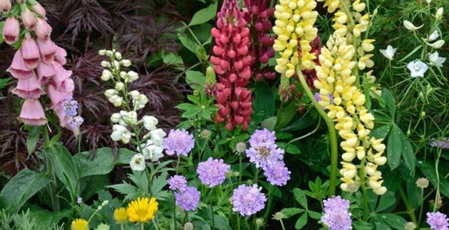 5 советов о том, как освежить свой сад, чтобы он засиял новыми красками