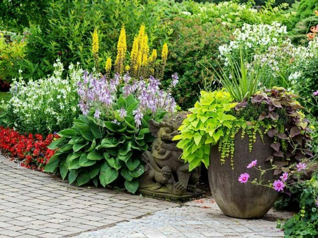 10 правил для размещения растений в цветниках, чтобы было красиво