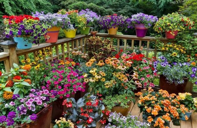 14 советов как сэкономить при создании красивого сада