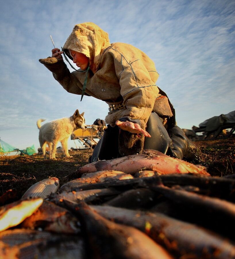 Рыболовством занимаются народы. Рыболовство Ханты и манси. Ханты и манси рыболовство и охота.