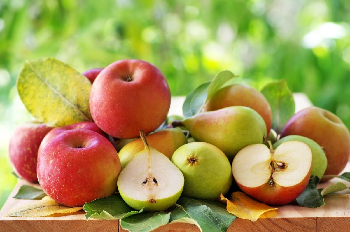 Яблоко плодовый. Яблони и груши это плодовые. Яблоки и груши. Фрукты яблоки груши. Семечковые плоды.