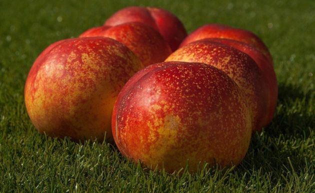Побочные эффекты употребления персиков, о которых вы могли не знать и причем здесь синдром раздраженного кишечника