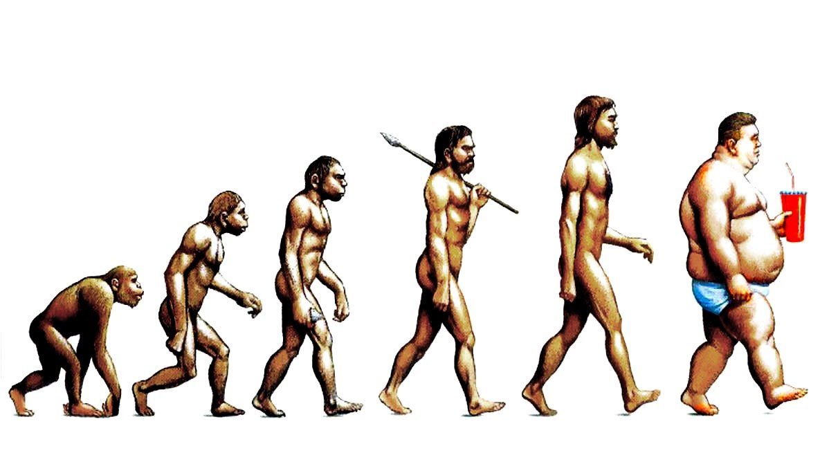 Эволюция видна. От обезьяны к человеку. Современный человек. Эволюция человека до современного. Следующая ступень эволюции человека.