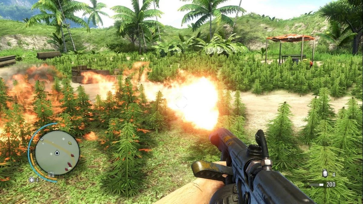 Far cry 3 сжечь коноплю марихуана легализация в сша
